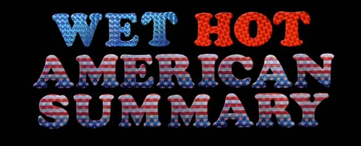 Wet-Hot-American-Summary